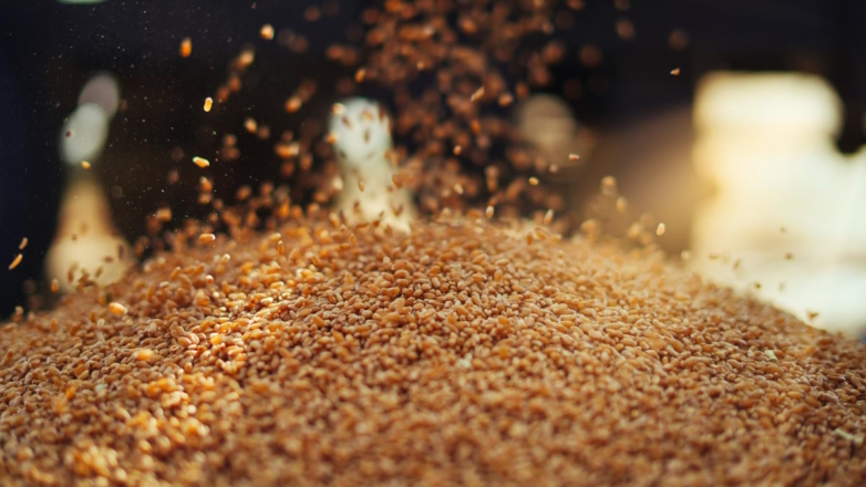 В Брюсселе призвали Киев перенаправить агроэкспорт из Евросоюза в другие страны