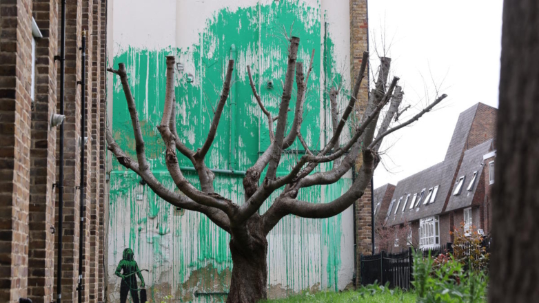 Новая работа Бэнкси в виде дерева с листвой появилась в Лондоне