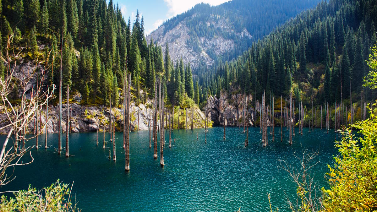 Озеро Каинды в Казахстане