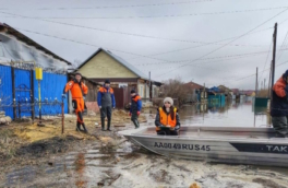 Власти назвали срок завершения основных работ по дамбе в Курганской области