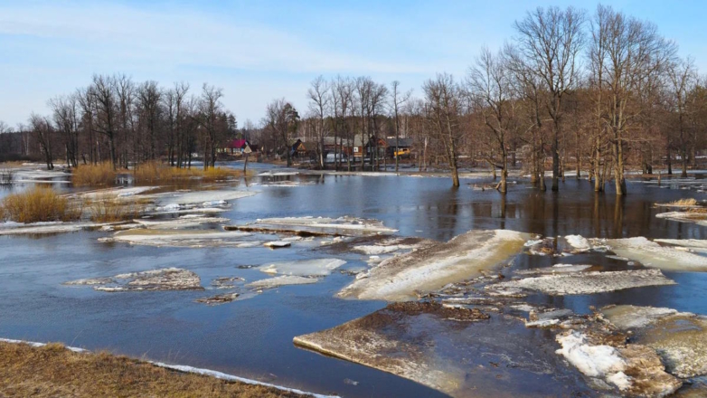 В Омской области повышается уровень воды в реках Ишим и Иртыш