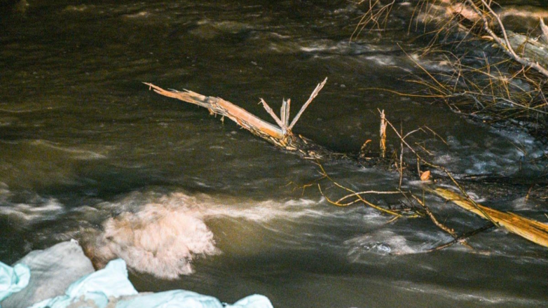 Уровень воды в реке Ишим достиг критериев опасного явления