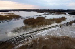 Губернатор Тюменской области назвал напряженной ситуацию в селе Абатское