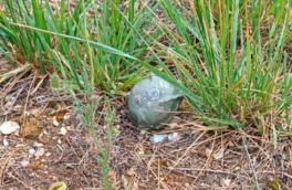 Жителей Севастополя предупредили о рассыпанных суббоеприпасах М74