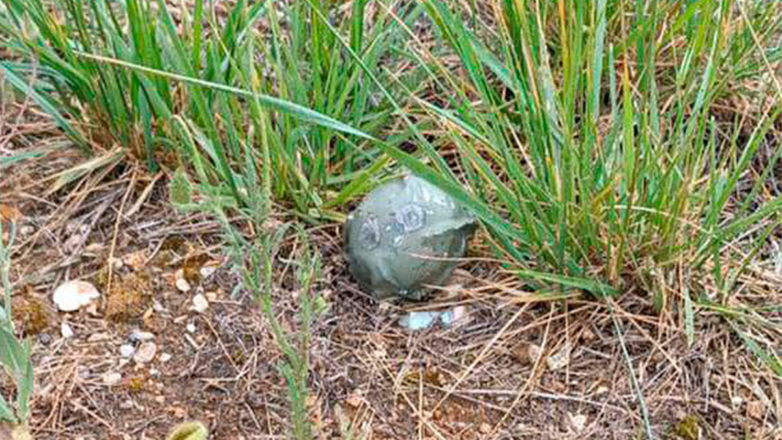 Жителей Севастополя предупредили о рассыпанных суббоеприпасах М74