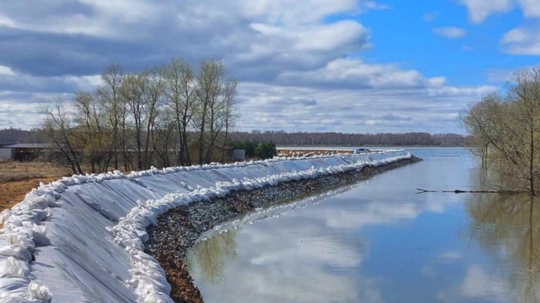 Уровень воды в Ишиме в Тюменской области впервые снизился на всех гидропостах