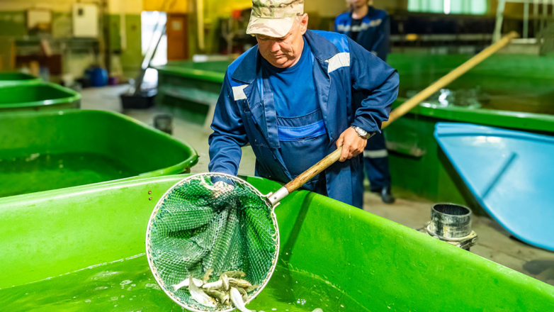 "Ростерминалуголь" провел мероприятие  по восполнению водных биологических ресурсов