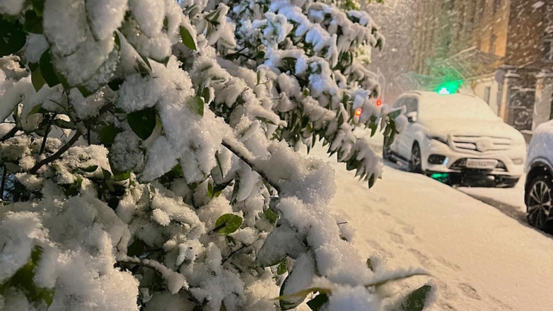 В Москве снежный покров сформировался 9 мая впервые в истории наблюдений