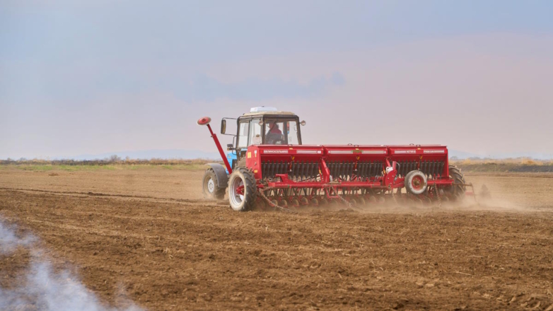 Посевная площадь в России станет больше в 2025 году – Патрушев