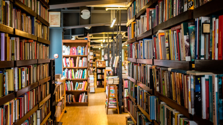 Госдуме рекомендовали принять закон о доступе к книгам иноагентов в библиотеках