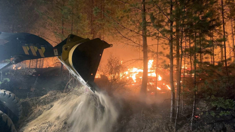 Интенсивность лесных пожаров в Центральной Сибири достигла пика за 10 тыс. лет