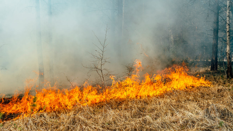 В Крыму эвакуируют около 100 человек из-за пожара, к тушению которого привлечены два вертолета
