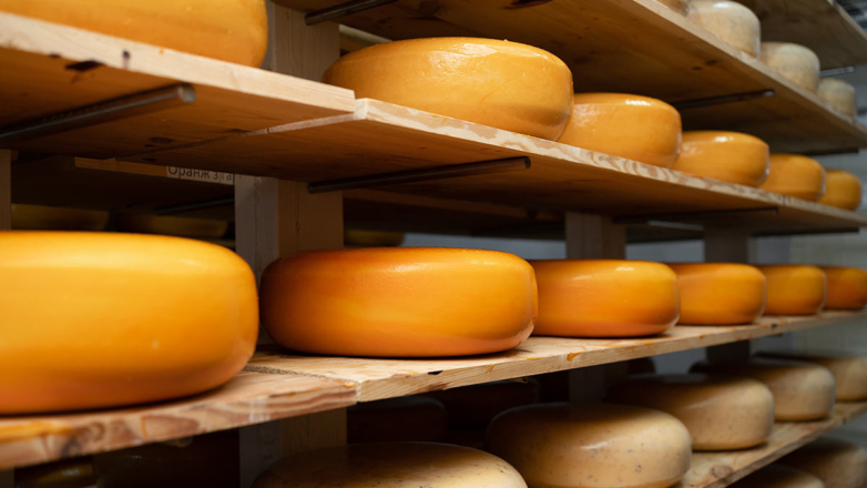 Продающий сыр по 120 тысяч рублей миллиардер пристыдил россиян