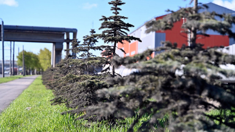 ДЭФ-2024 пройдет при поддержке Челябинского цинкового завода