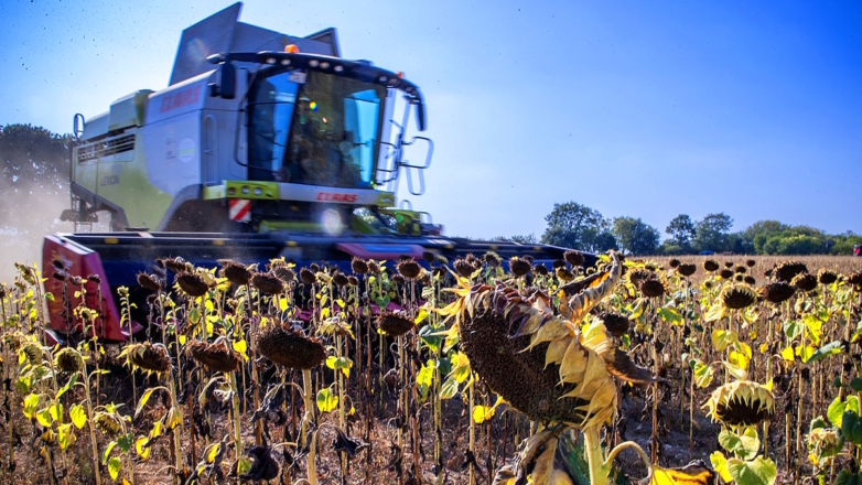 Правительство России продлило меры защиты внутреннего рынка продовольствия
