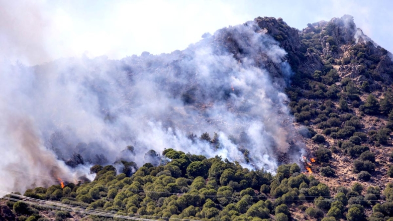 Турцию охватили лесные пожары