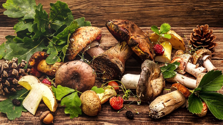 Инфекционист предупредил о последствиях неправильной обработки грибов