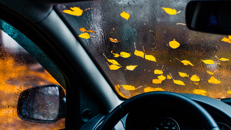 Власти Москвы призвали автовладельцев пересесть на метро из-за дождя