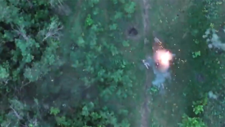 ВСУ потеряли до 645 военнослужащих в зоне ответственности группировки ВС РФ "Юг"