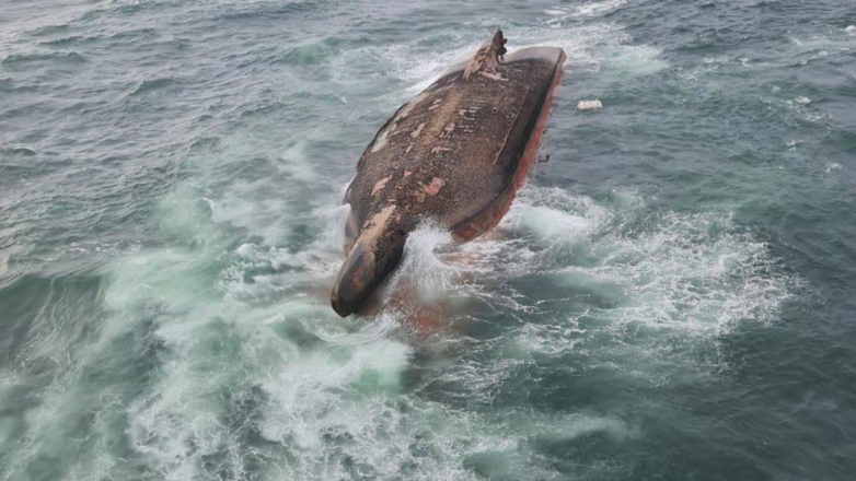 Спасатели обнаружили тела трех моряков с перевернувшегося на Сахалине грузового судна
