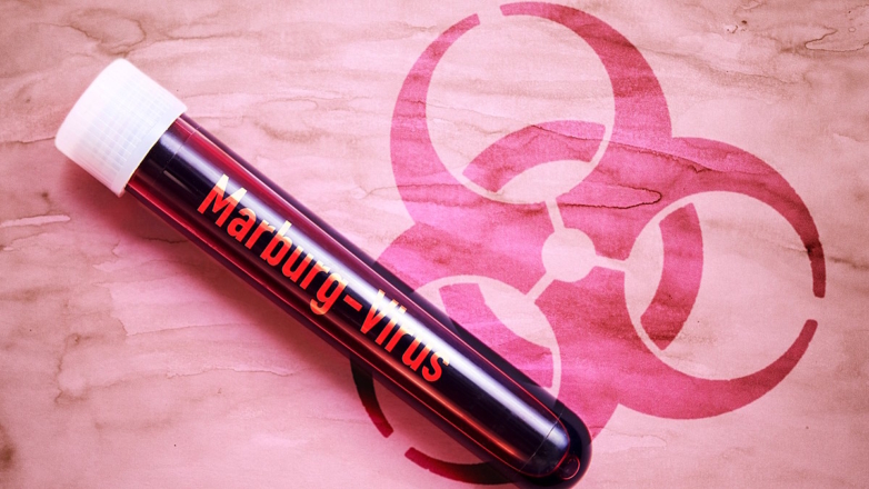 ВОЗ предупредила о вспышке опасной инфекционной болезни