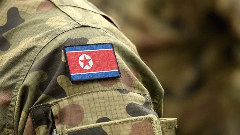 В НАТО не могут подтвердить участие северокорейских военных в спецоперации на Украине