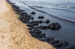 Разлив мазута на берегу Болгарии: в Варне объявлено частичное ЧП