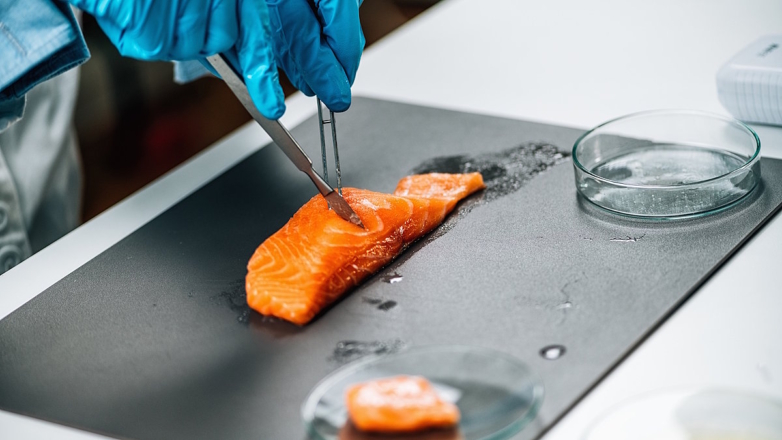 Россельхознадзор проверяет качество рыбы из Чёрного и Азовского морей после ЧП с танкерами