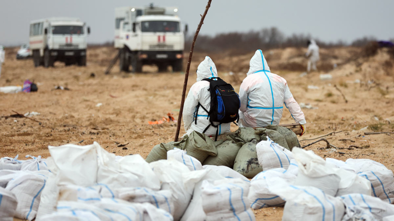 В Бердянске 15 км побережья Азовского моря очистили от мазута