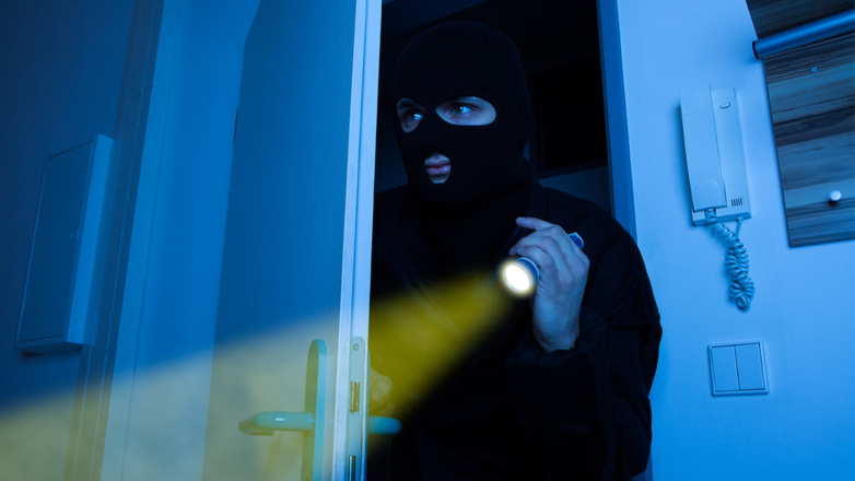 Грабитель ворвался в дом Николь Кидман в День всех влюбленных