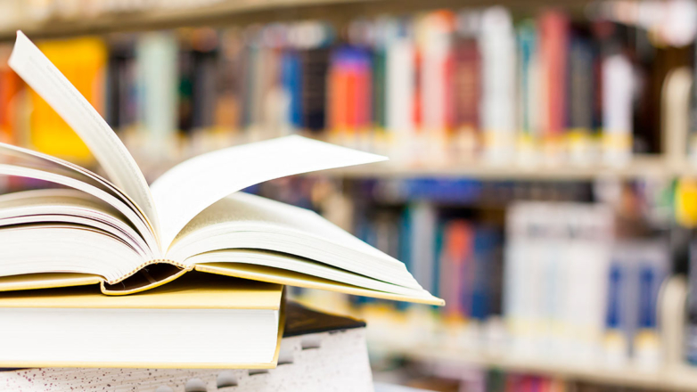 Домашняя библиотека: защитим книги от света, пыли и плесени