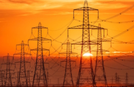 В Новгородской области 22 тысячи человек остались без света из-за непогоды