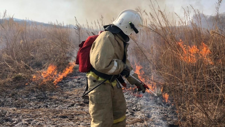 В Приморье за сутки произошло более 100 пожаров