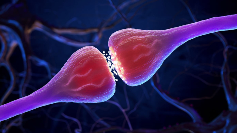 В ЛЭТИ открыли лабораторию для создания компьютеров, работающих как человеческий мозг