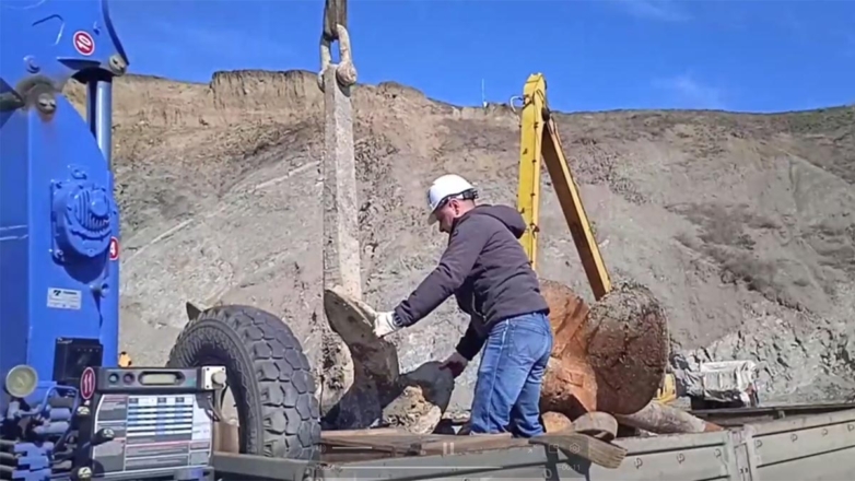 Последние конструкции танкера "Волгонефть-239" вывезли с мыса Панагия