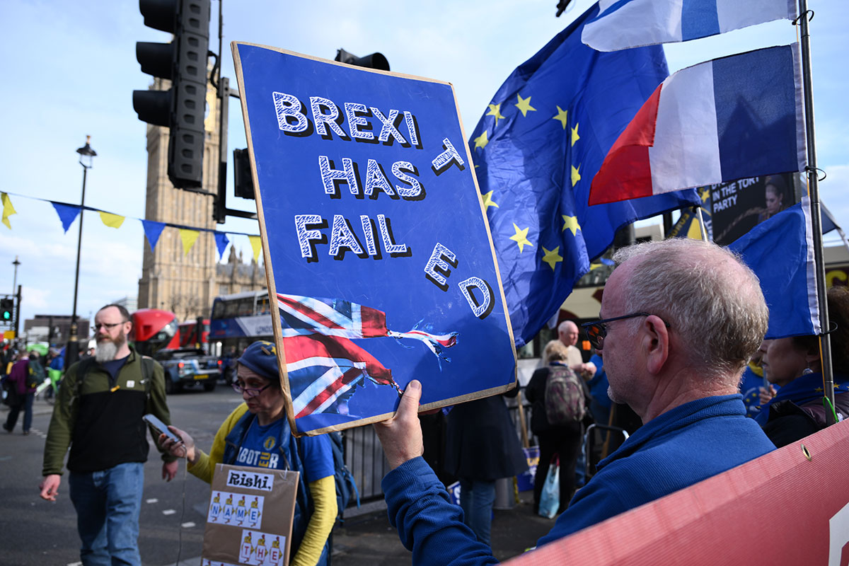 Участники демонстрации против брексита в Лондоне
