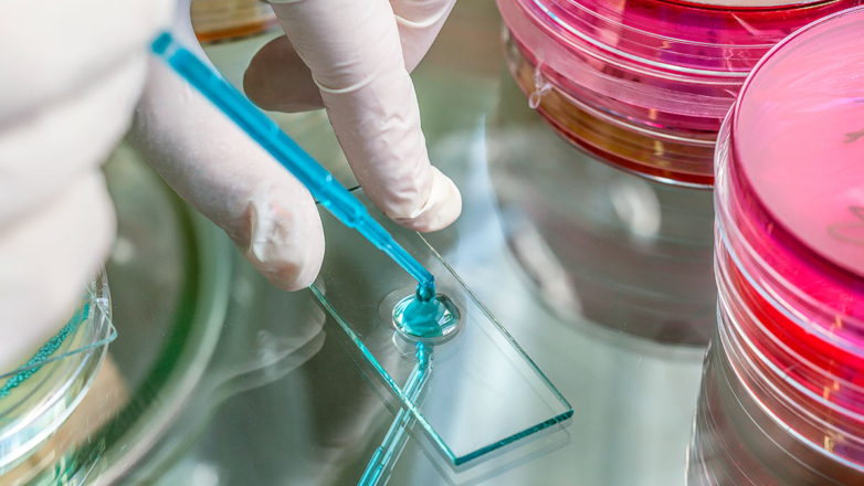 Онищенко призвал россиян к сознательности на фоне выявления случаев холеры