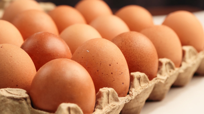 Швеция отказалась поставлять в США куриные яйца – Sveriges Radio