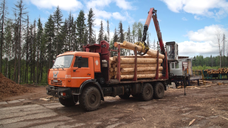 Стратегию развития лесного комплекса готовит Минпромторг