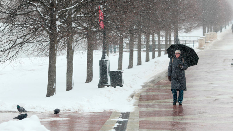 Когда тепло и весенняя погода вернутся в Москву, рассказал Вильфанд