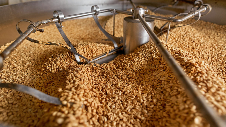 Высокоурожайный сорт арахиса для выращивания на юге России создали селекционеры