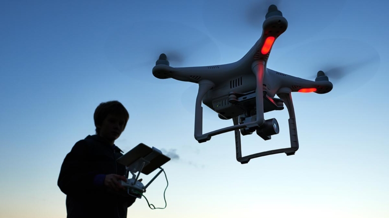 Дроны за смену сканируют тысячи гектаров леса, заменяя физический труд десятков специалистов