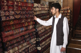 Фрукты, специи и ковры: что Афганистан готов поставлять в Россию