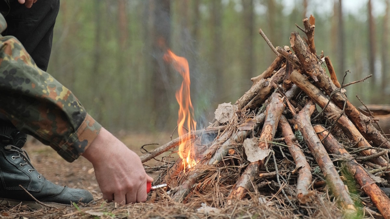 Нарушителям правил пожарной безопасности в лесах может грозить штраф и лишение свободы