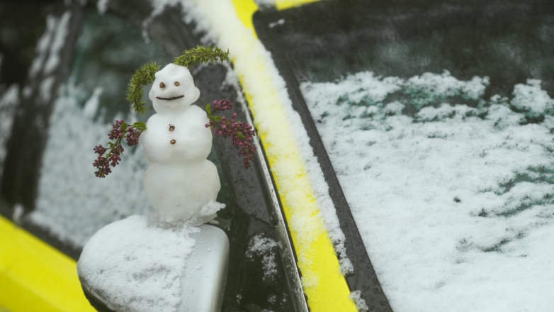 До 70% месячной нормы осадков выпало в Москве и области за первые 2 дня мая