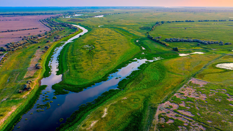 Изменения в экосистеме Волги, повлиявшие на размножение промысловых рыб,  обнаружили ученые