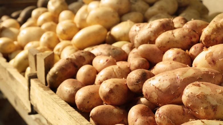 Лукашенко посоветовал не есть картошку слишком часто