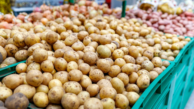 Цены на капусту в июле упали на 21,5%, на картофель – на 21,1%