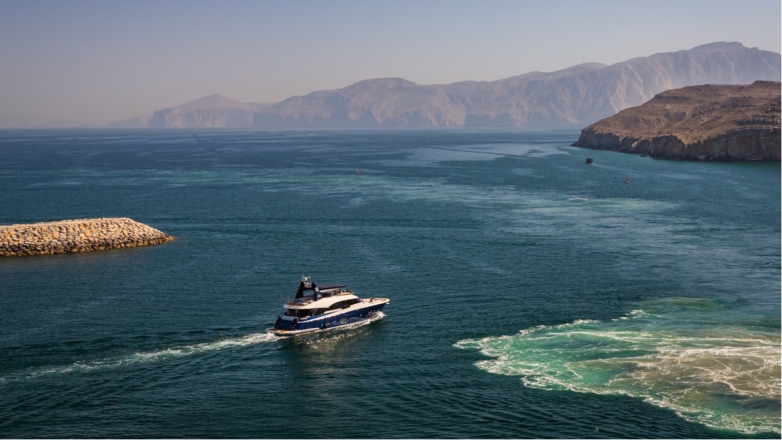 Посол в Иране: для российских судов нет проблем с проходом через Ормузский пролив