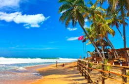 Власти Шри-Ланки сохранят бесплатные визы для россиян